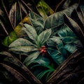 Sounds for a Forest